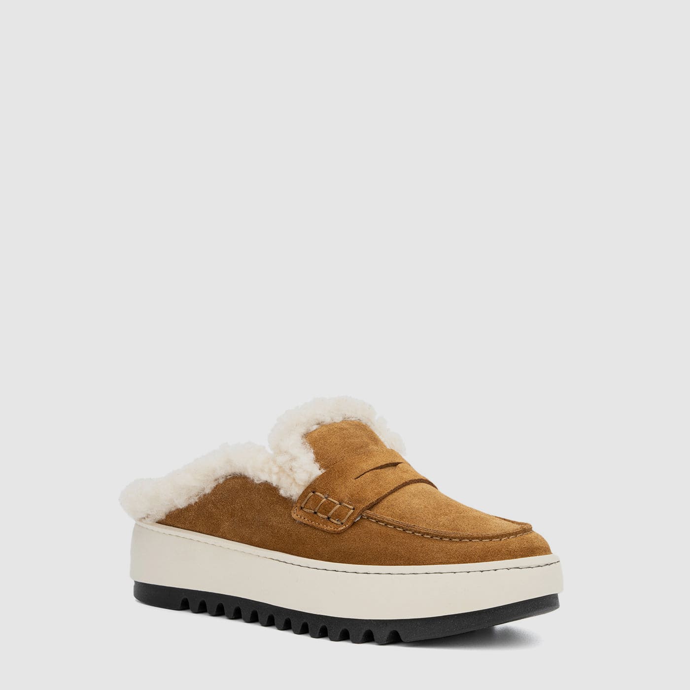 CAMEL